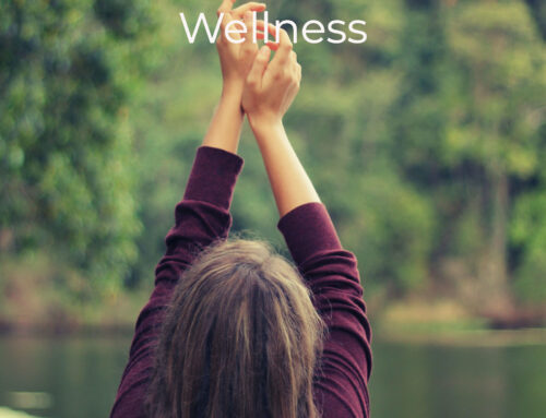 New Offering! Your Ultimate Wellness Plan